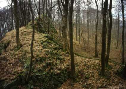 27 fif buche 1.jpg